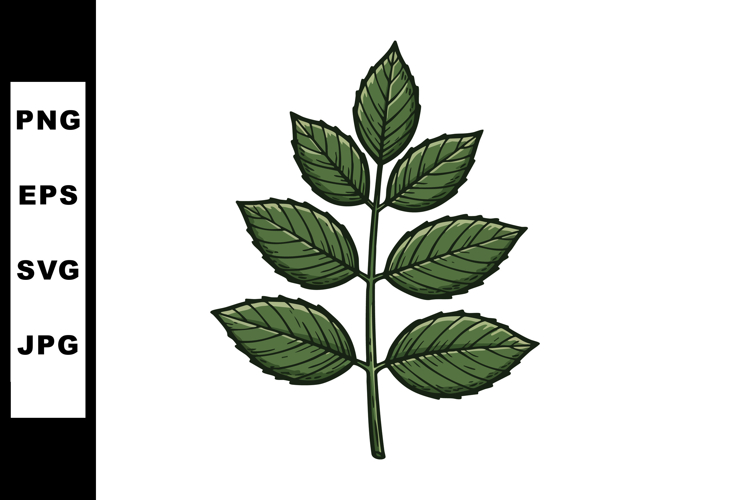 Leaf Clipart Image 8