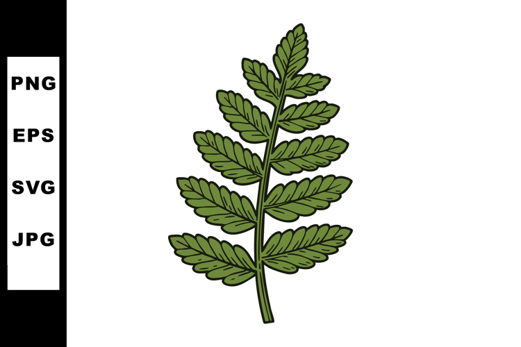 Fern Illustration Image 13