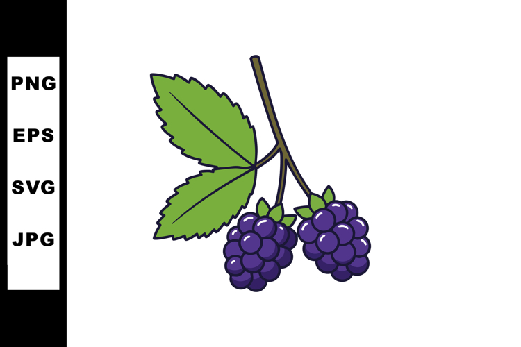 Blackberry Clipart Image 4