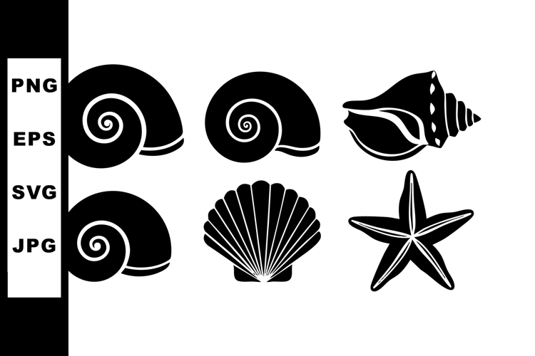 Shell Illustration Image 3