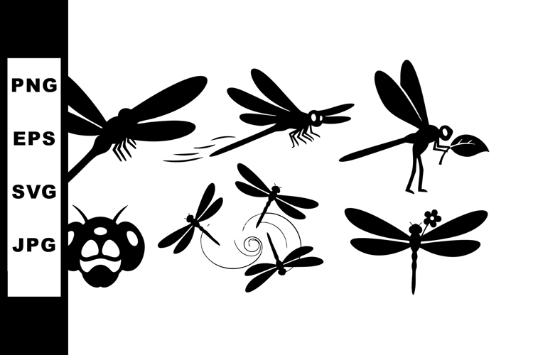 Insect Illustration Image 14