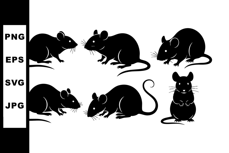 Rat Illustration Image 3