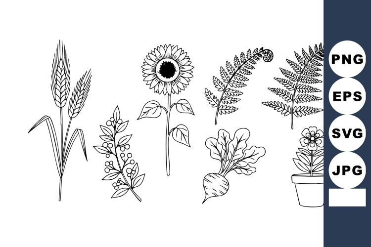 Sunflower Vector Image 12