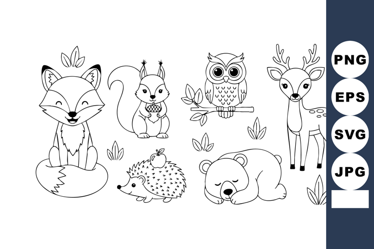 Cute wild forest animals collection vector art with fox squi