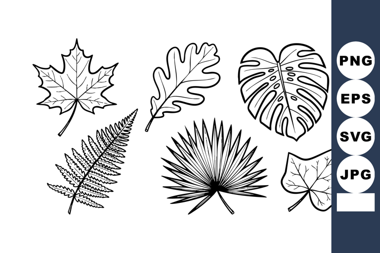 Leaf Black And White Clipart Image 6