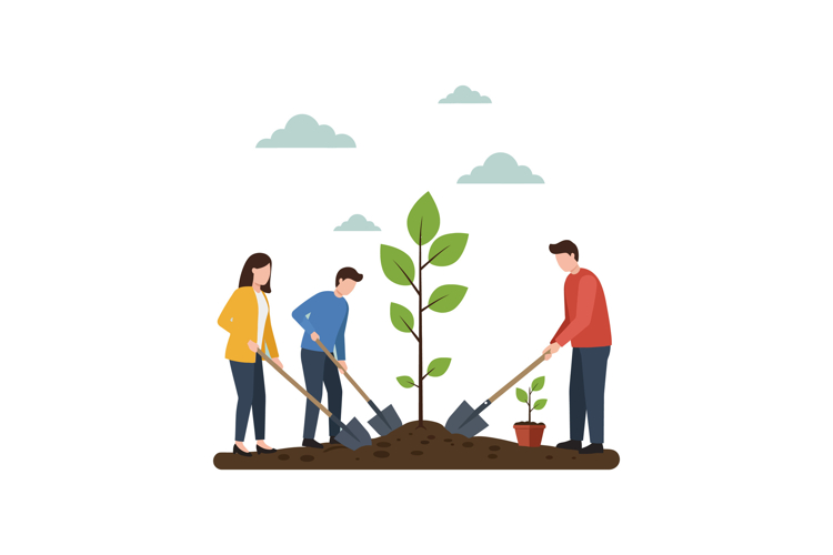 Seedling Clipart Image 12