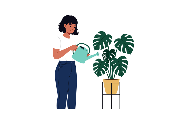 Monstera Leaf Clipart Image 18