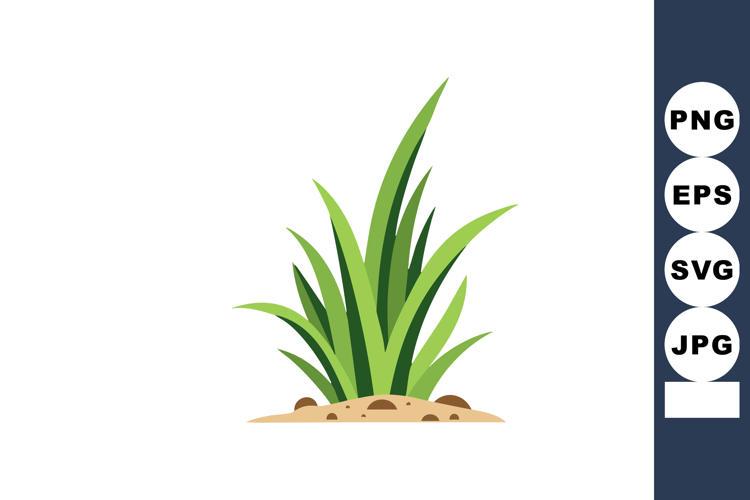 Green Grass Plant Growing in Soil with Natural Fresh Appeara