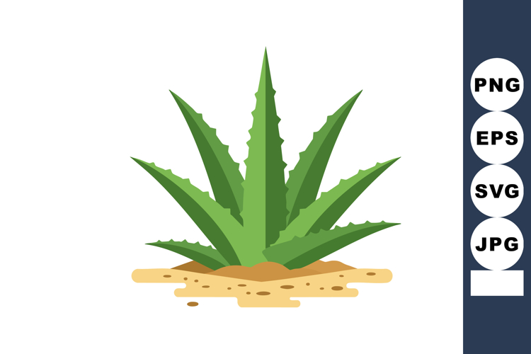 Agave Plant Clipart Image 5