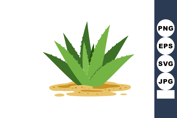 Agave Plant Clipart Image 4