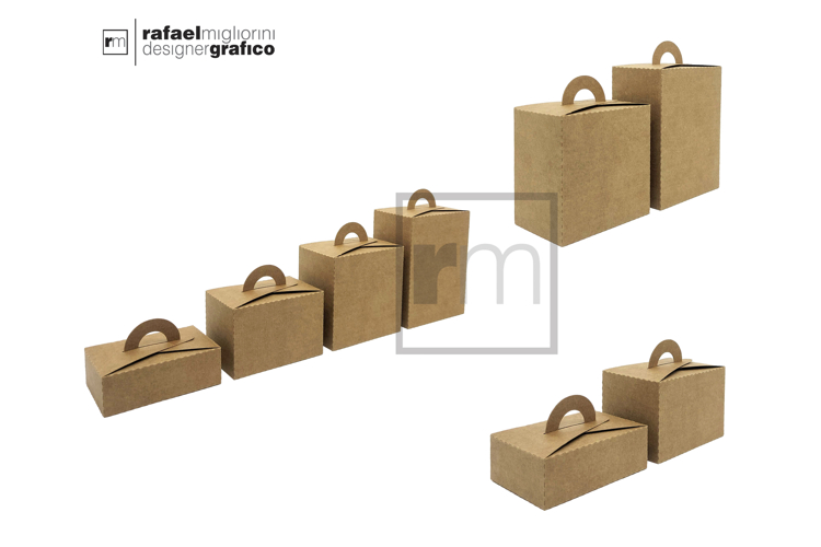 Bundle of Rectangular Boxes with Handles - BSCS Line