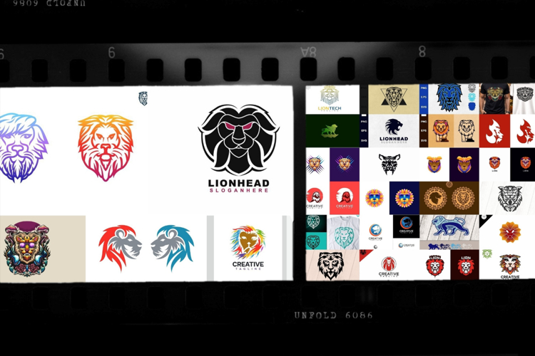 45 Design Lion vector