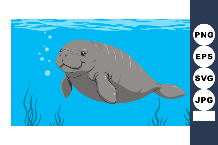 Manatee Clipart