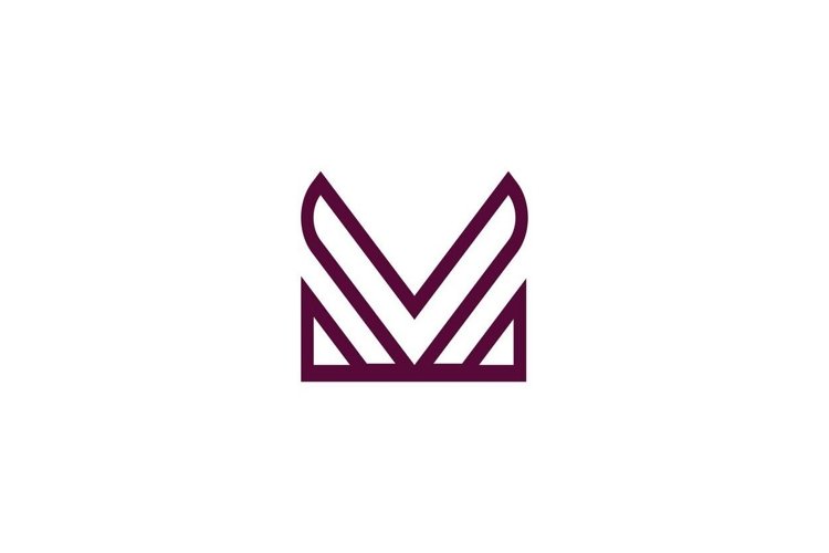 Letter V Logo Image 19