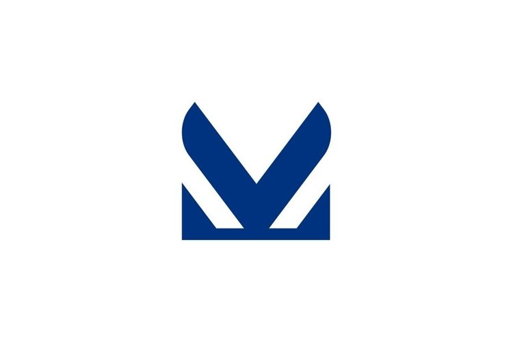 Letter V Logo Image 18