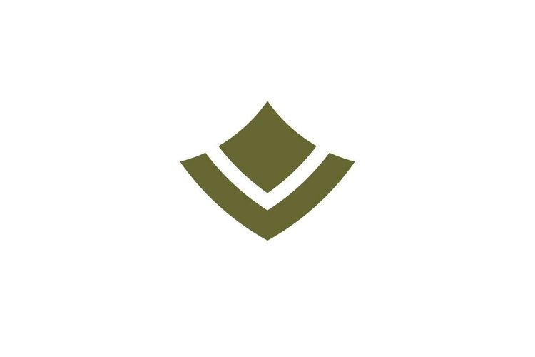 Letter V Logo Image 22
