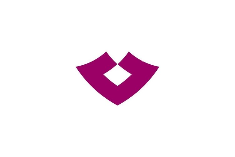 Letter V Logo Image 21