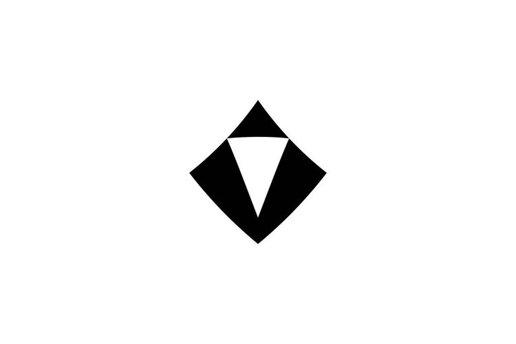 Letter V Logo Image 18