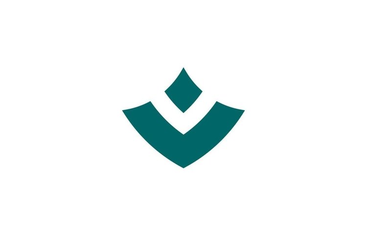 Letter V Logo Image 12