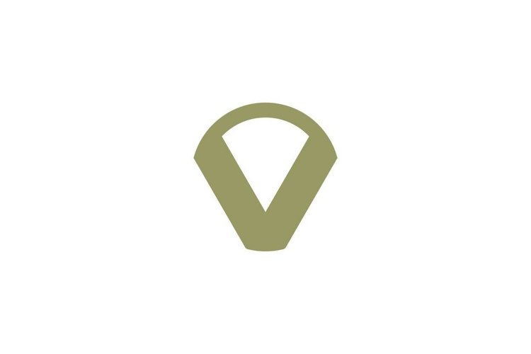 Letter V Logo Image 14