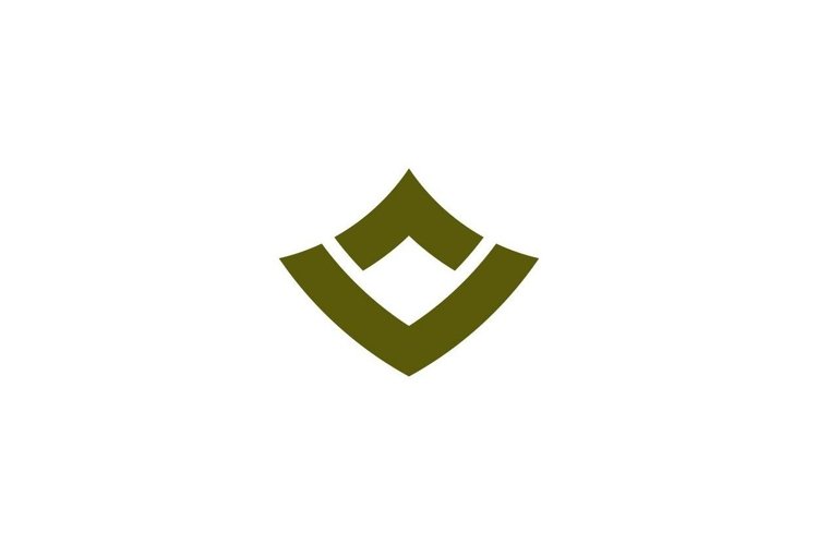 Letter V Logo Image 10