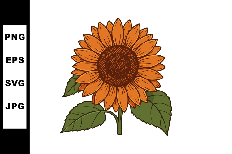Sunflower Clipart Image 12