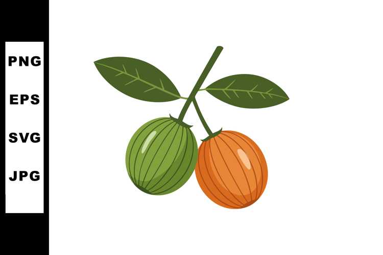 Fruit Clipart