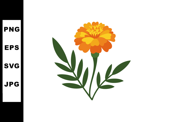 Marigold Clipart Image 2