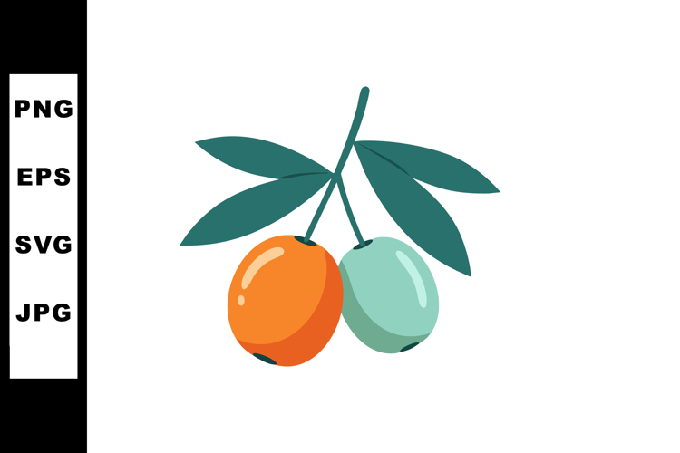 Olive Branch Vector Image 14