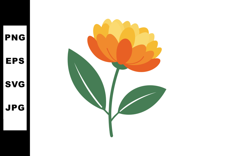 Marigold Clipart