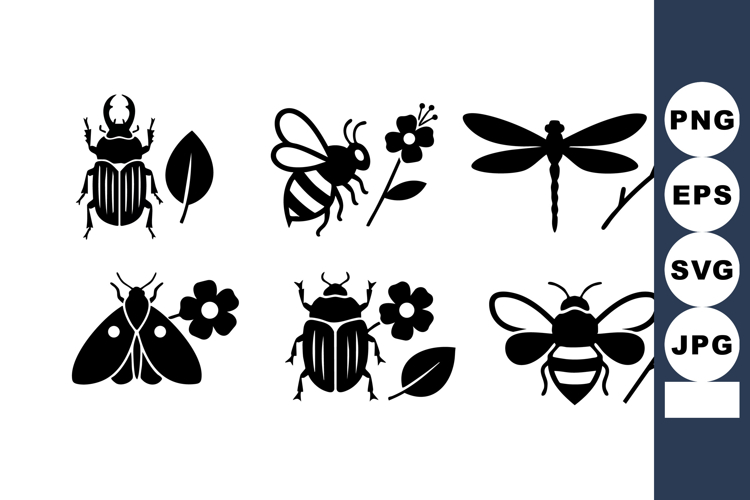 Beetle Clipart Image 3