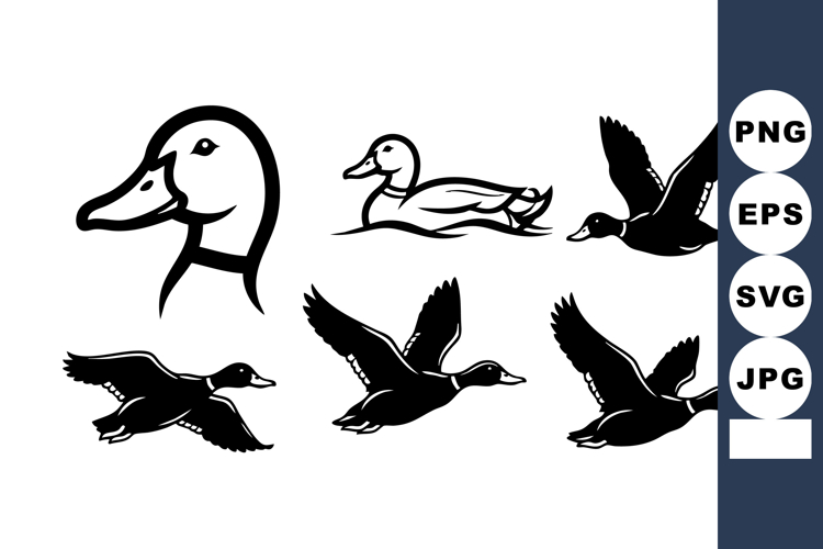 Duck silhouette collection in various flying and swimming po