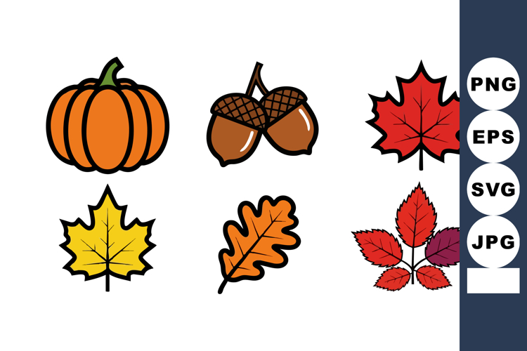 Acorn Vector Image 3