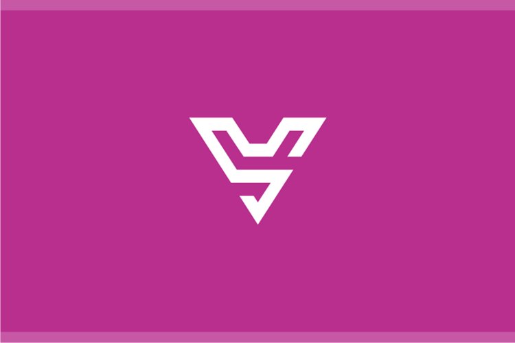 Letter V Logo Image 16