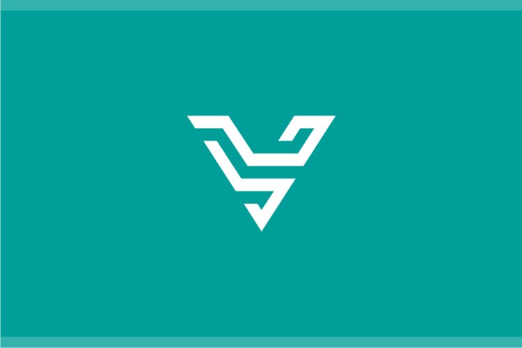 Letter V Logo Image 17