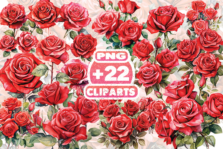 Valentine Red Rose Watercolor Clipart | Romantic Floral PNG