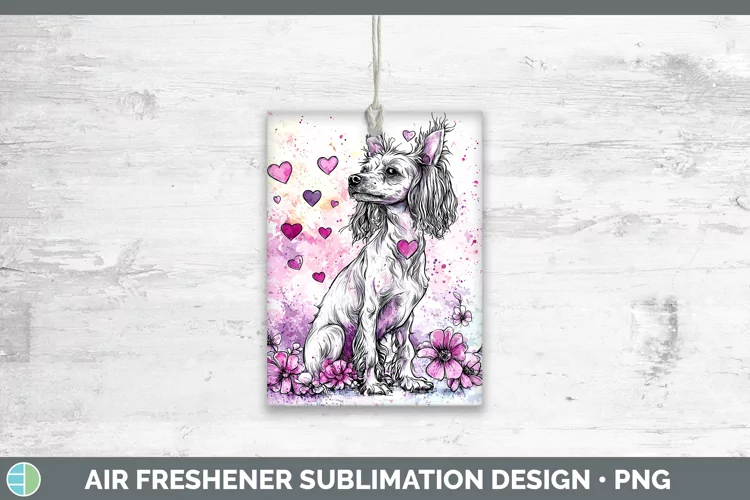Valentine Splash Dogs Hairless Chinese Crested Dog Air Fresh