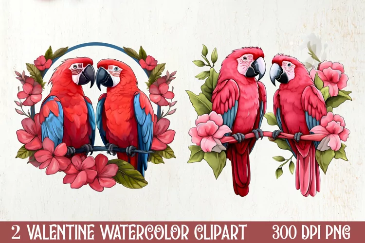 Valentines Day Parrot Couple Clipart, Valentines PNG