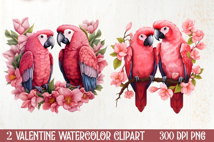 Parrot Clipart Image 20