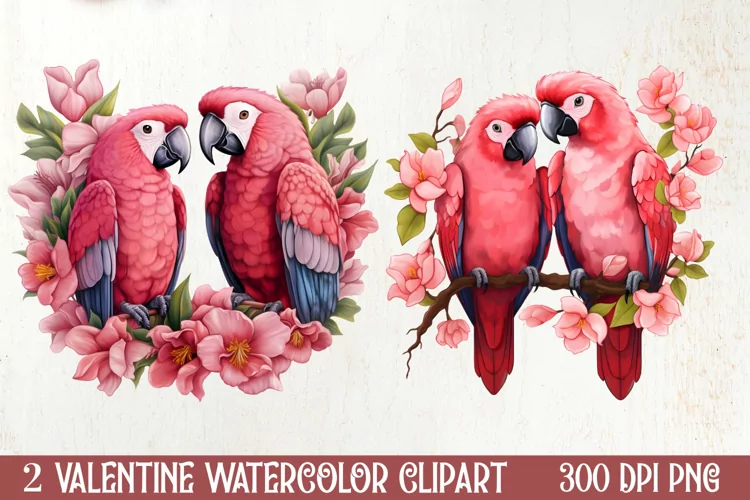 Valentines Day Parrot Couple Clipart, Valentines PNG