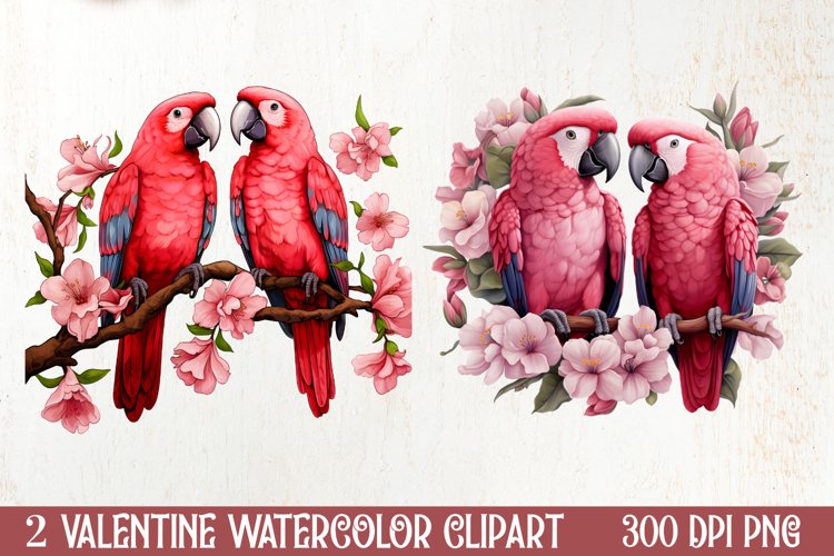Parrot Clipart Image 8