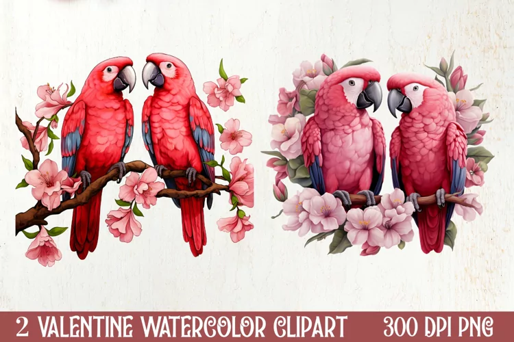 Valentines Day Parrot Couple Clipart, Valentines PNG