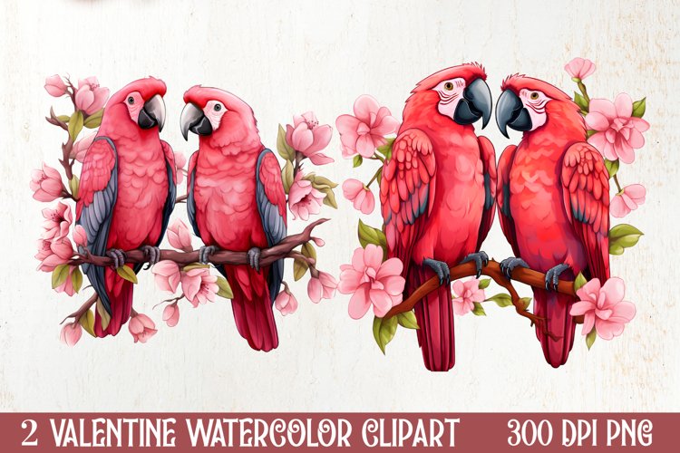 Valentines Day Parrot Couple Clipart, Valentines PNG