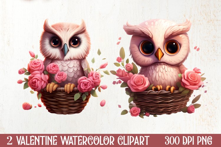 Owl Clipart Image 11