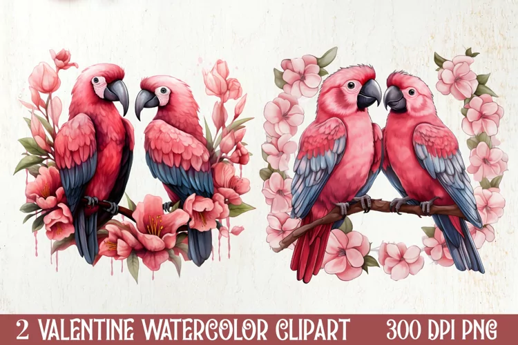 Valentines Day Parrot Couple Clipart, Valentines PNG