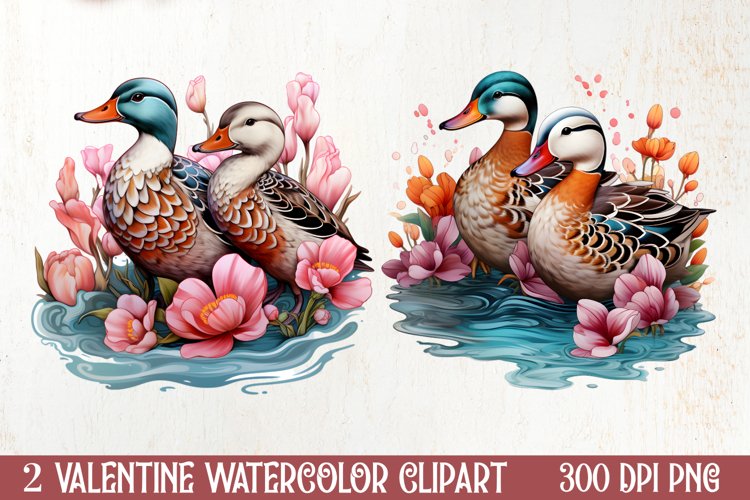 Duck Clipart Image 4