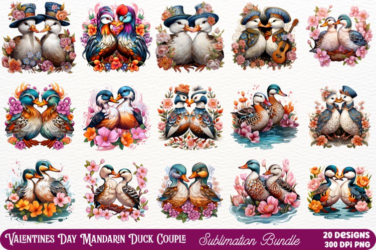 Valentines Day Mandarin Duck Couple