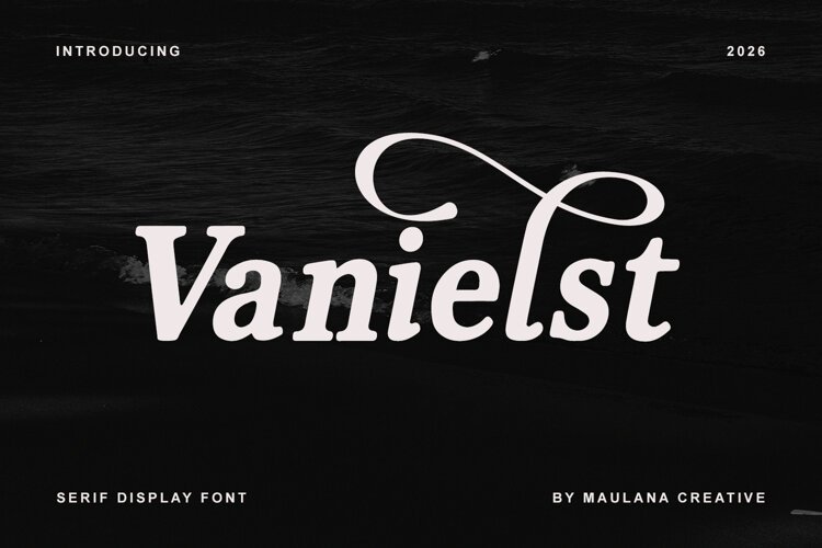Vanielst Elegant Serif Stylistic example image 1