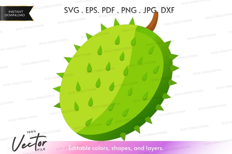 Fruit Vector Image 23