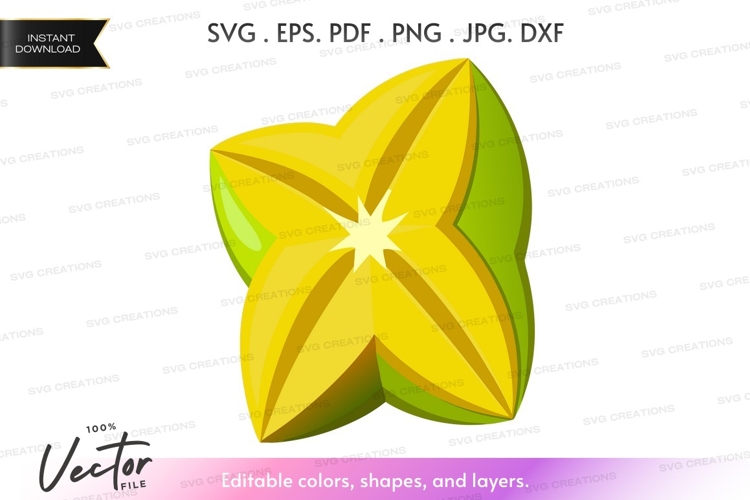 Fruit Vector Image 14